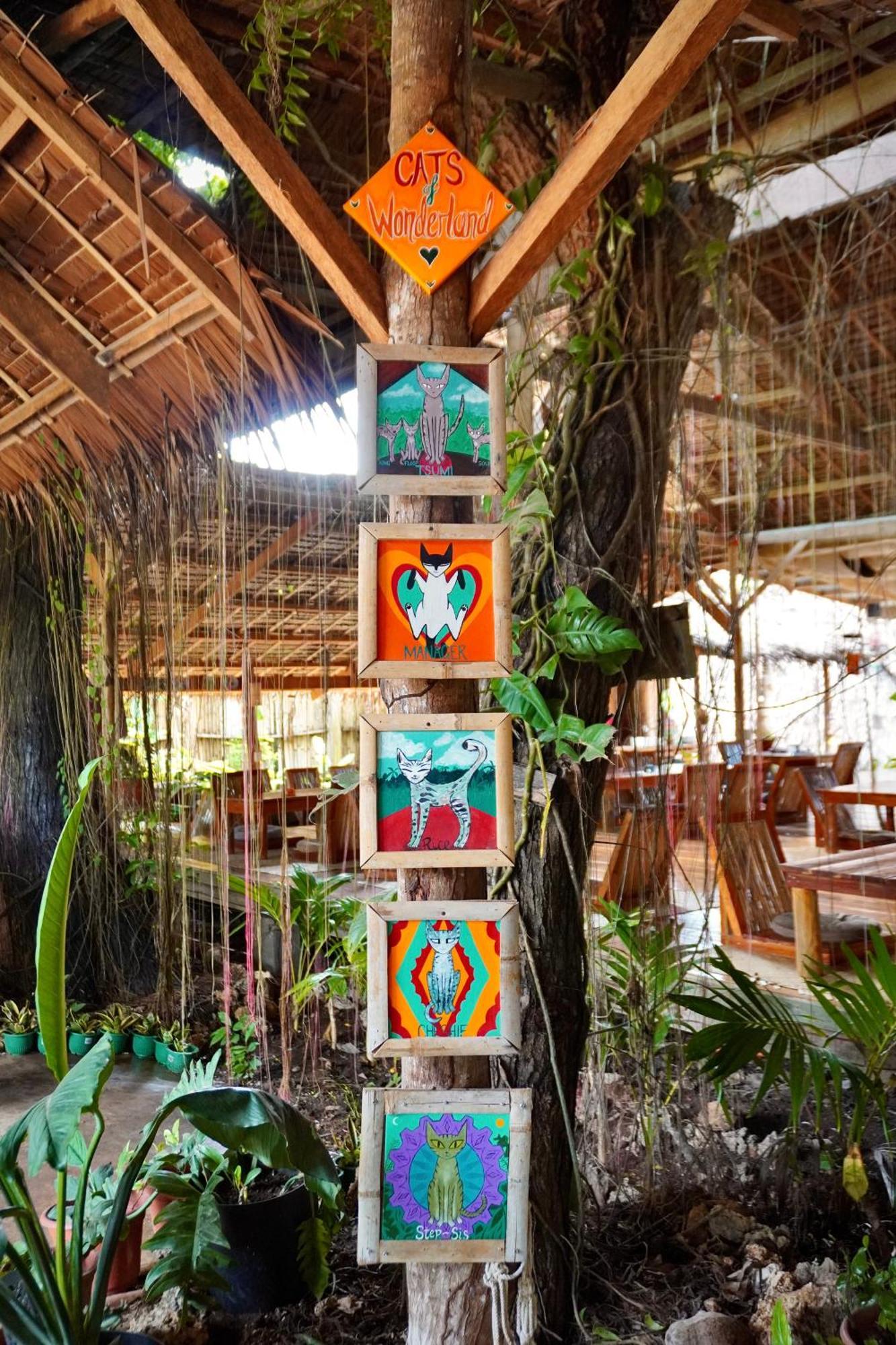 Hotel Wonderland Siquijor Zewnętrze zdjęcie